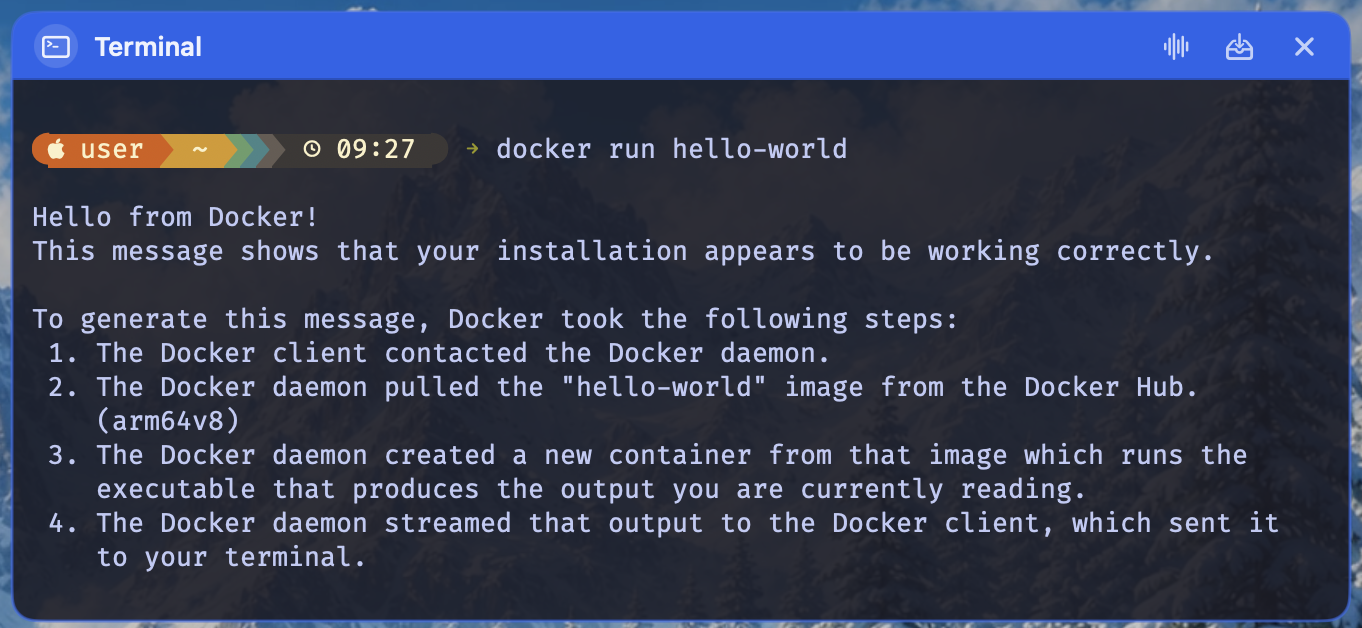 The real Vibes terminal pane running Docker in a local shell